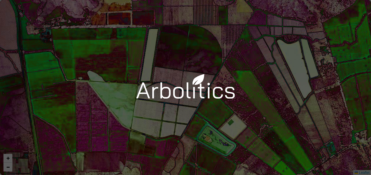 AI adoption - Arbolitics